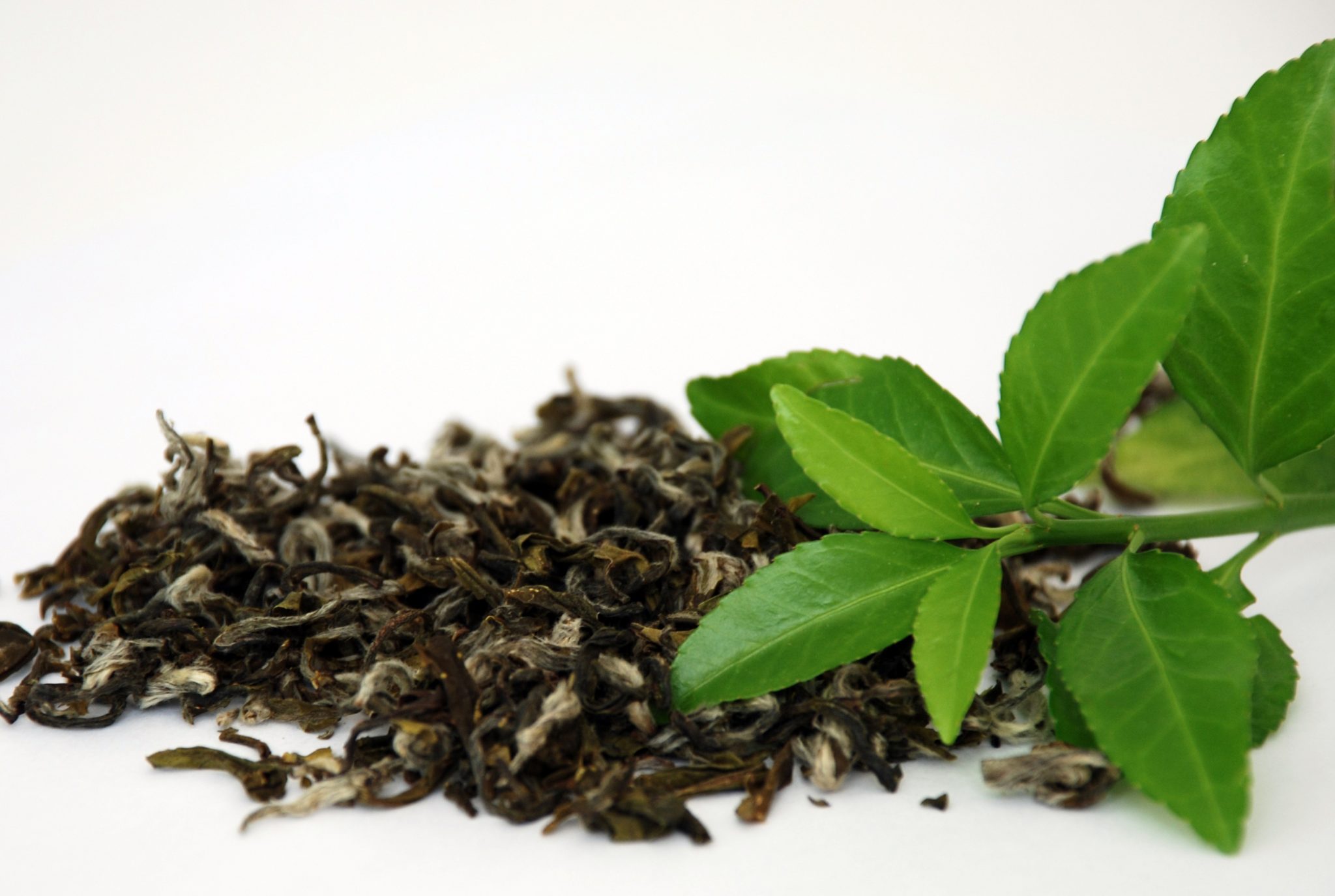 Image result for tea leaves